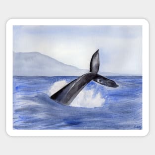 Whale Fin Watercolor Art Sticker